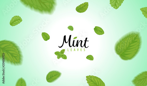 Flying green mint leaves on green background template. Vector set of element for advertising, packaging design of tea products.