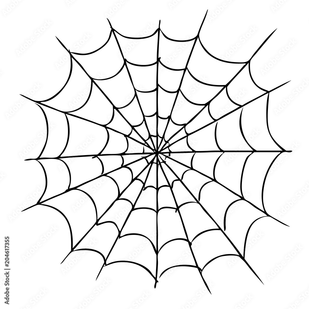 Obraz premium spider web