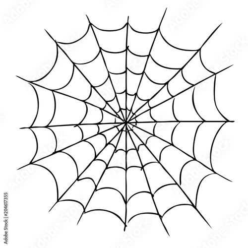 spider web