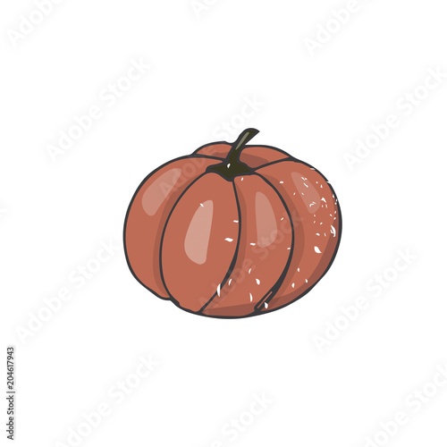 Pumpkin figure clip art illustration drawing shabby style geometric element color texture garden veg red orange fruit earthen vegetable oak halloween holiday autumn similar white background