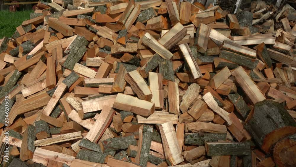 Prepare fresh shopped firewood in stack in farm Prepare fresh shopped firewood in stack in farm