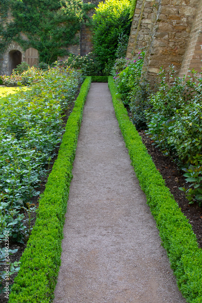Stony path between a small green neated hedge in a garden Stony path between a small green neated hedge in a garden