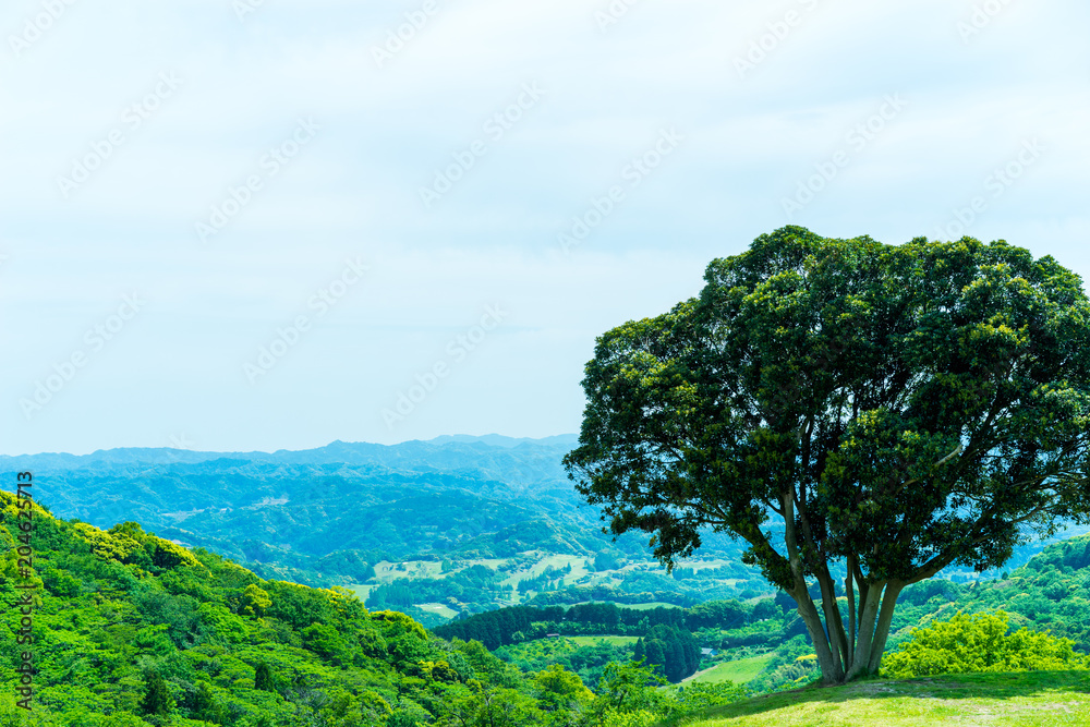 Fototapeta premium Environment Concept. Beautiful view of rural landscape with tree, mountain, grass