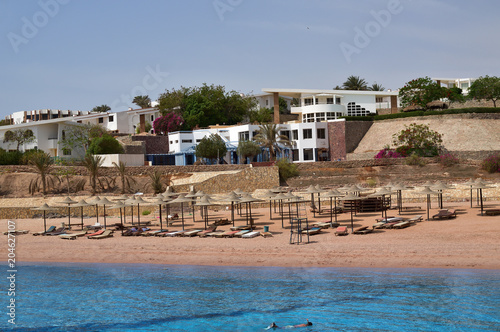 View from the sea to the beach resort with palm trees, umbrellas, sand, deckchairs, infrastructure and coral reef. Snorkeling tourist.