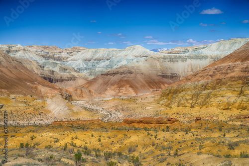 Altyn Emel National Park. Kazakhstan. Mountains of Aktau photo