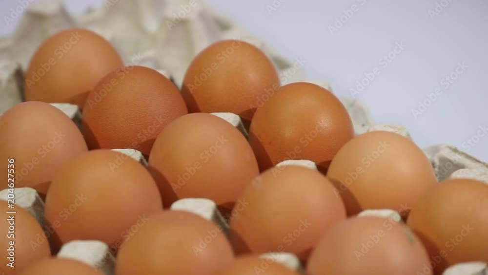 Close up of Eggs in a paper tray, egg carton isolated on a white background Close up of Eggs in a paper tray, egg carton isolated on a white background