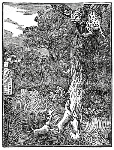 Photography Hunting for a leopard (from Das Heller-Magazin, November 13, 1834)