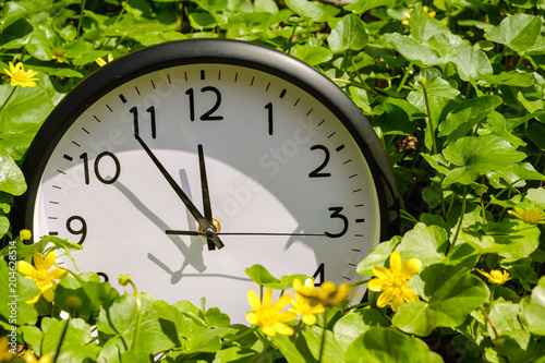 Clock on green grass, on nature background, deadline alarm concept