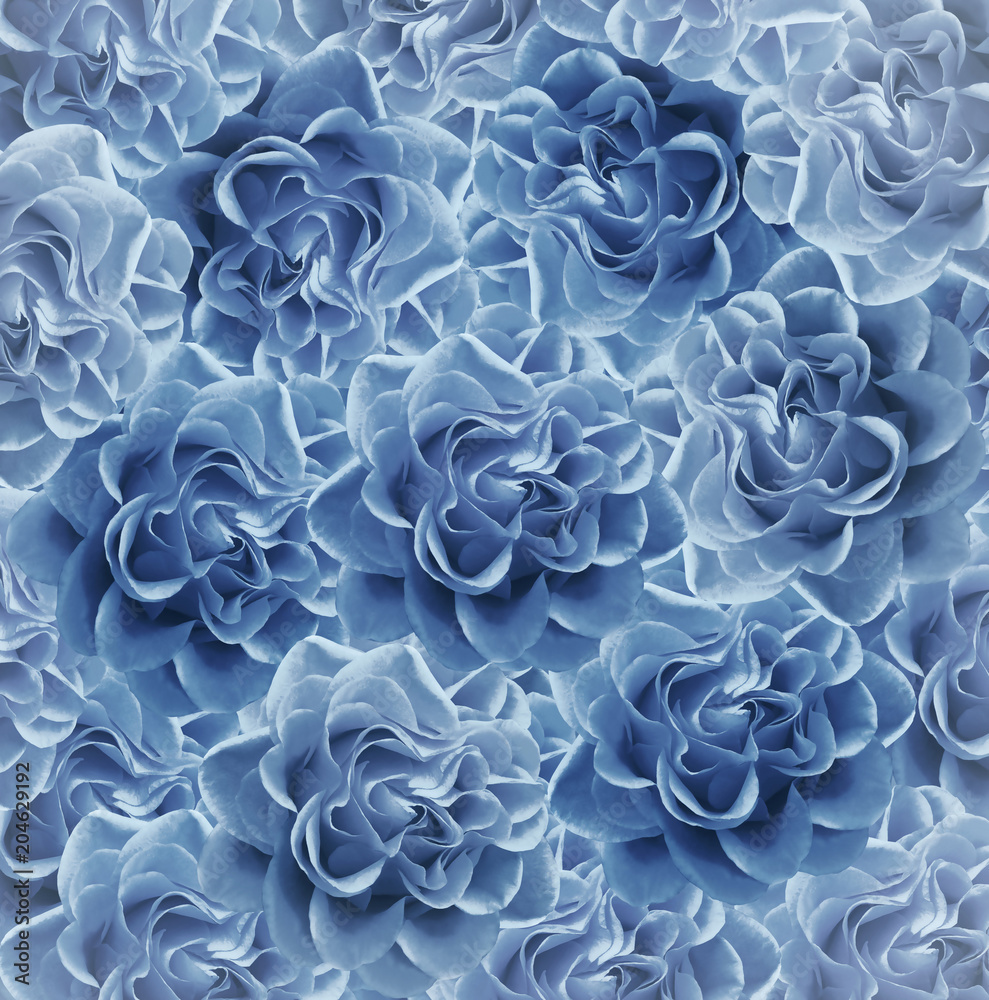 Vintage floral  light  blue beautiful background.  Flower composition. Bouquet of flowers from  light  blue roses. Close-up. Nature.