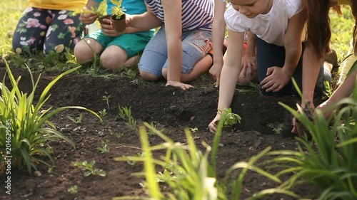 Children's hands planting sapling on soil as the world's concept of rescue