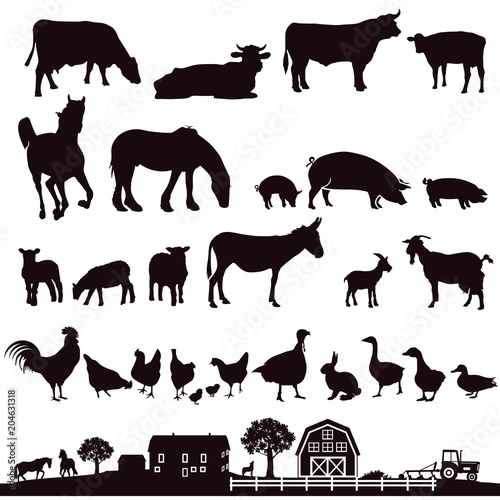 Bauernhof Tiere und Bauernhof,Illustration.