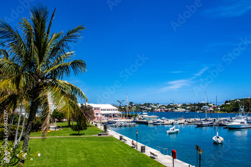 Barr's Park, Hamilton, Bermuda. Flowers and Palm Tree overlooking boats in harbour photo