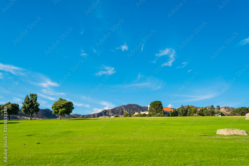 Green meadow and blue sky in Central California