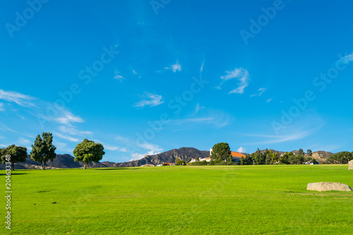 Green meadow and blue sky in Central California