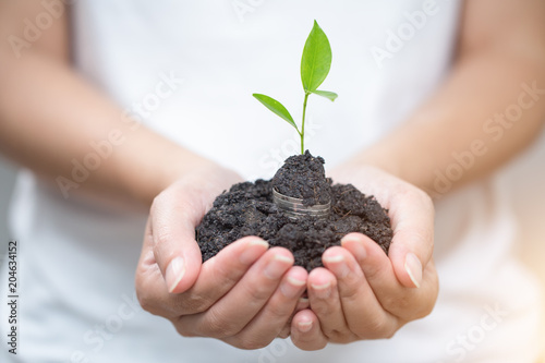 Seed and planting.Growth of business,concept,business concept.