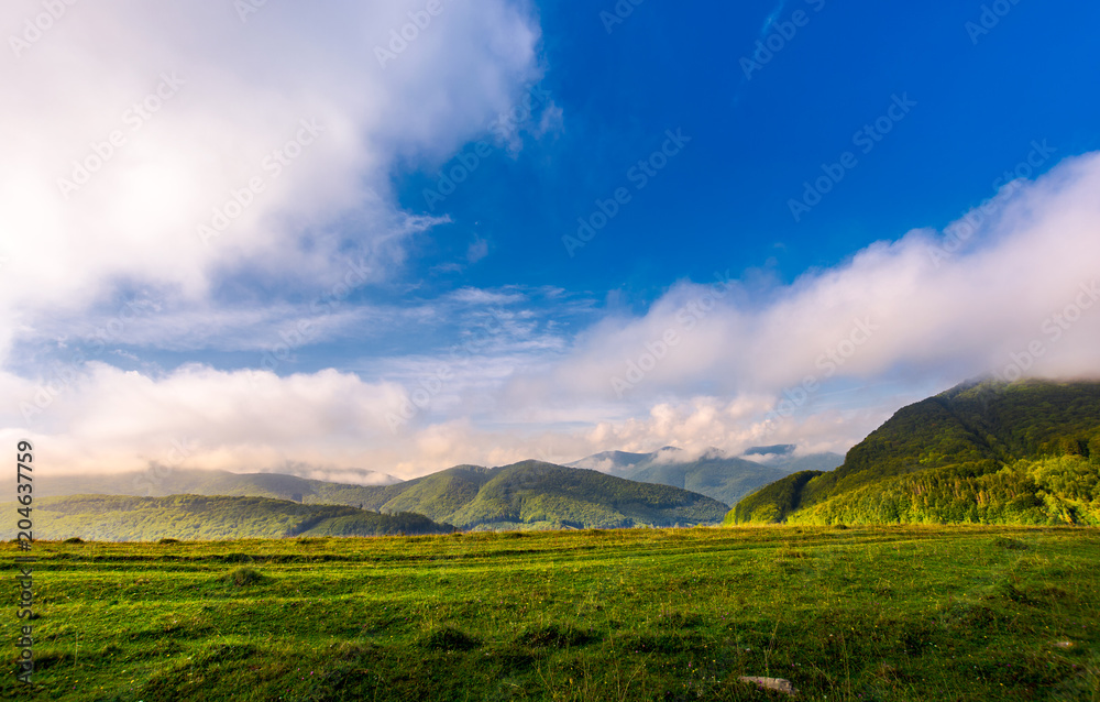beautiful sunrise in mountains. gorgeous cloudscape above the ridge in the distance. clear grassy meadow on foreground