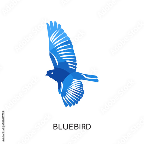 bluebird logo isolated on white background , colorful vector icon, brand sign & symbol for your business