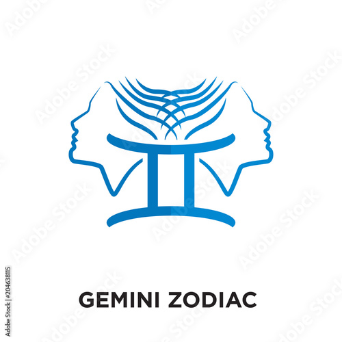 logo for gemini zodiac isolated on white background , colorful vector icon, brand sign & symbol for your business