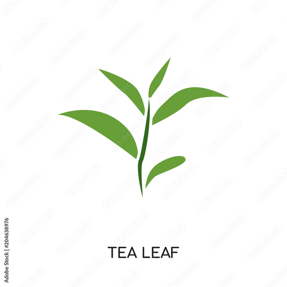 tea leaf logo vector icon isolated on white background, colorful brand sign & symbol for your business