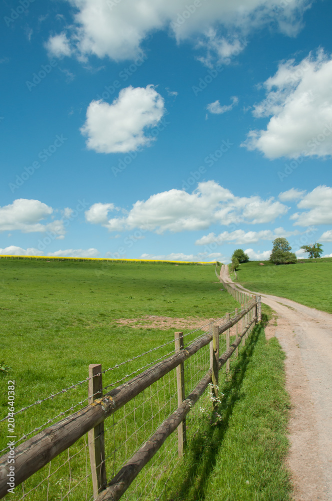 Springtime landscape in the English countryside.