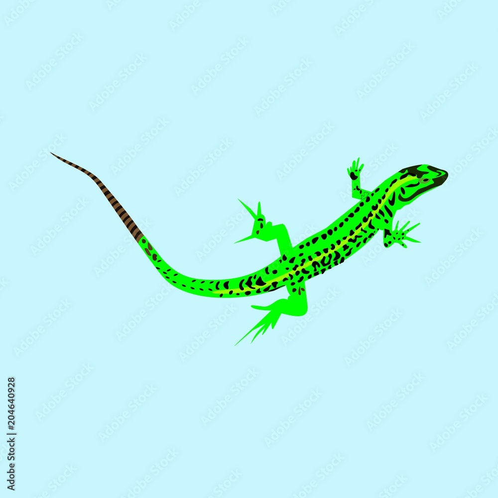 Naklejka premium icons about Animal with sketch, salamander, lizard, hand drawn and silhouette