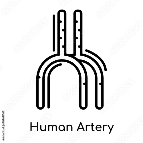 Human Artery icon isolated on white background , black outline sign, linear modern symbol