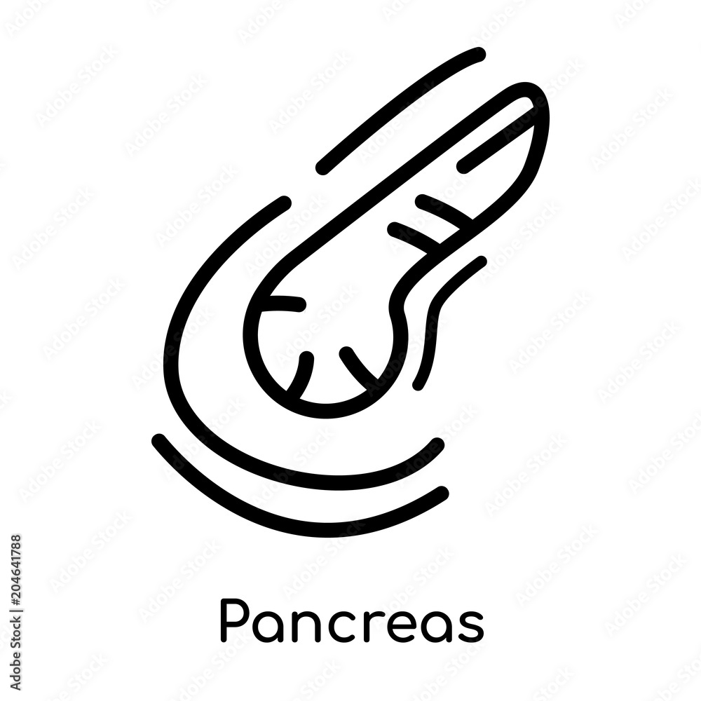 Pancreas icon isolated on white background , black outline sign, linear modern symbol Pancreas icon isolated on white background , black outline sign, linear modern symbol
