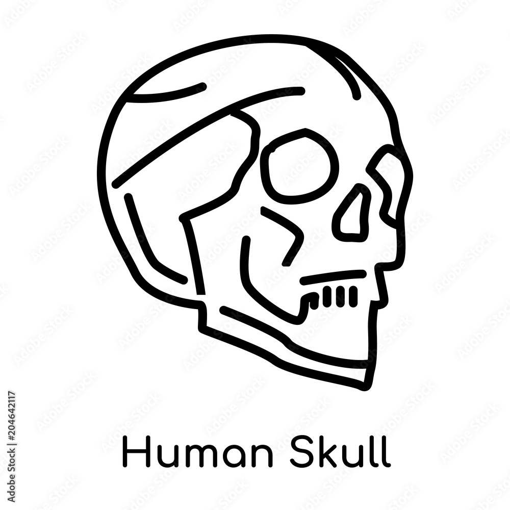 Human Skull icon isolated on white background , black outline sign, linear modern symbol