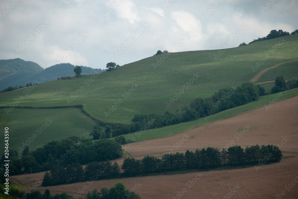 Fields and hills