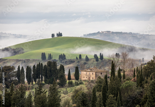 foggy Hills of the Tuscany  Castelfalfi