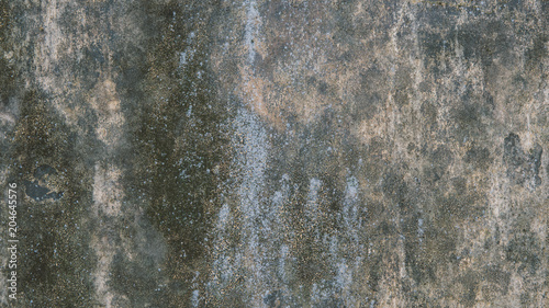 Valokuva grunge texture with moss close-up.