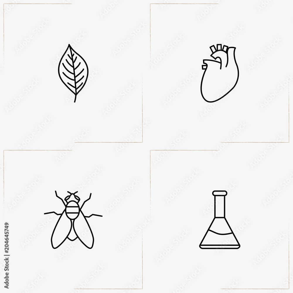 Biology line icon set with flask, fly and heart organ