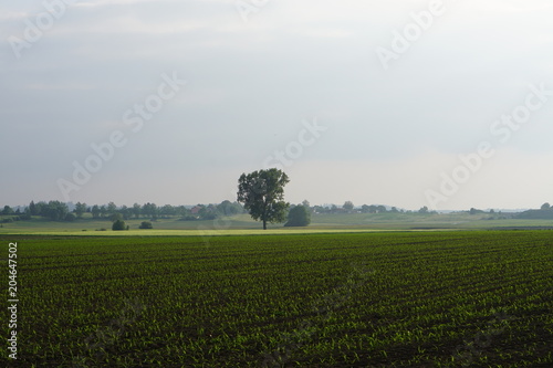 wide agriculture fieldsin Germany Crailsheim