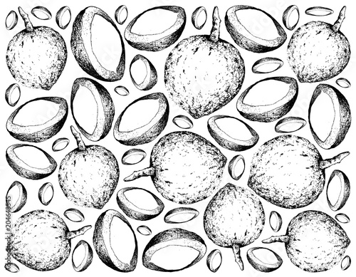 Hand Drawn Wallpaper Background of Bacuri Fruits photo