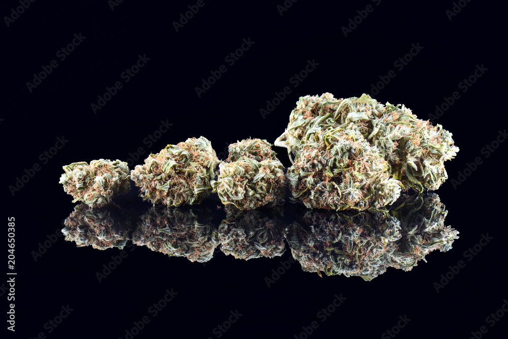 Medical marijuana bud isolated on black background. Therapeutic and medicinal cannabis weed with reflection close up Medical marijuana bud isolated on black background. Therapeutic and medicinal cannabis weed with reflection close up