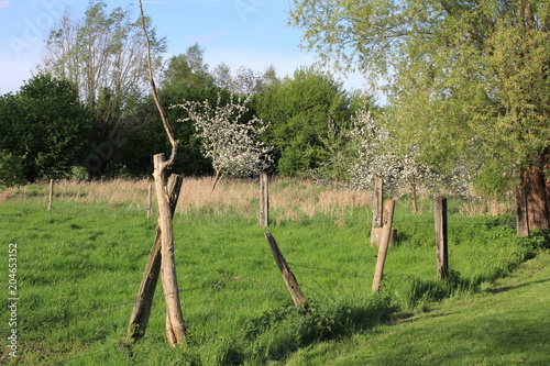 Pré à la campagne photo