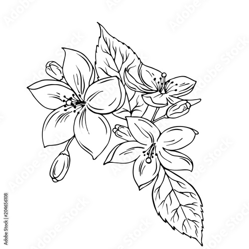 Summer flowers and leaves bouquet isolated on white background. Doodle ink sketch. Hand drawn vector illustration.