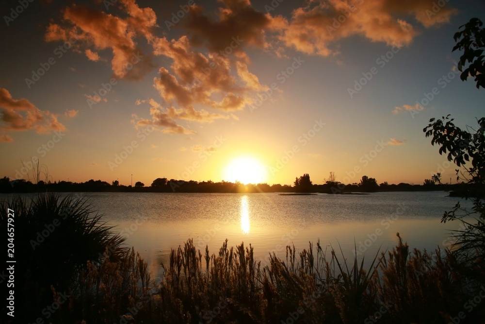 Golden Yellow Sunset on the Lake at Quiet Waters Park, Deerfield Beach, Florida with Foliage Below and a few Orange Scattered Clouds Above Golden Yellow Sunset on the Lake at Quiet Waters Park, Deerfield Beach, Florida with Foliage Below and a few Orange Scattered Clouds Above