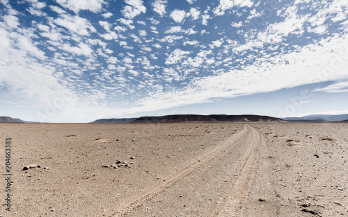 Old Patagonian Camel Track 