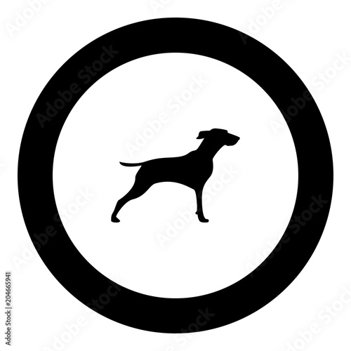 Hunter dog or gundog icon black color vector illustration simple image