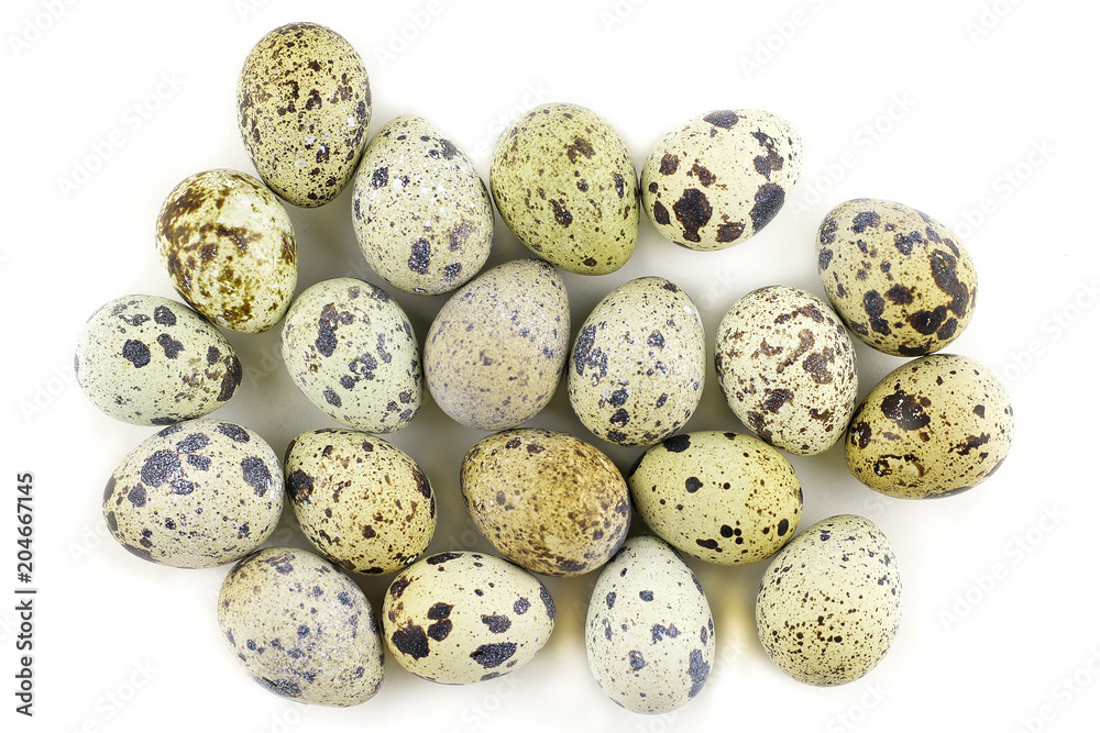 Group of quail eggs isolated on the white background. Top view. Diet food. Group of quail eggs isolated on the white background. Top view. Diet food.