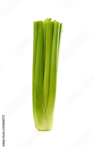 Celery on White Background