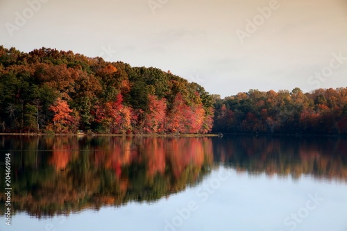 Trees Next to Water with Leaves Changing Color from Green to Red in Burke Lake Park, Virginia