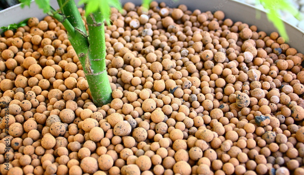 Obraz premium paillage en billes d'argile dans pot de plante