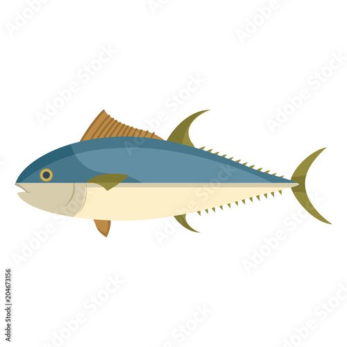 fish healthy sea food prepared