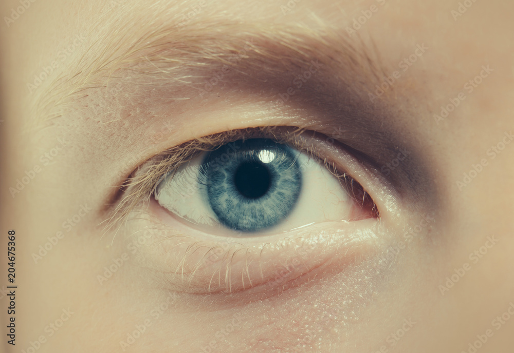 Fototapeta premium Natural beauty look and no make up. Eye with no makeup. Blue eye with blond eyelashes and brow