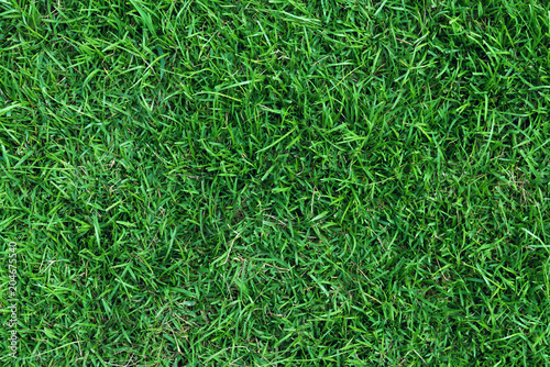 Canvas Print Top View of green grass field texture.