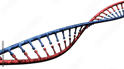 Fototapeta Naklejka Na Ścianę i Meble -  Dna, elica di Dna, acido desossiribonucleico è un acido nucleico che contiene le informazioni genetiche indispensabili per lo sviluppo ed il corretto funzionamento degli organismi viventi
