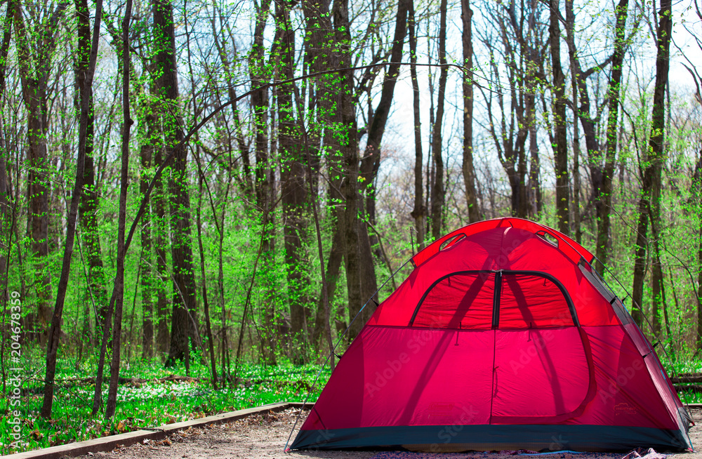 red tent set up in a forest 