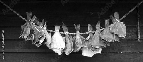Laesoe / Denmark: Drying flatfish hanging in front of the black painted wooden wall of a small salter cottage photo
